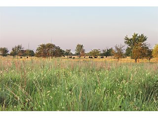 Tract 7 - LAND AUCTION - 440+/- Acres offered in 15 Tracts in Tulsa County